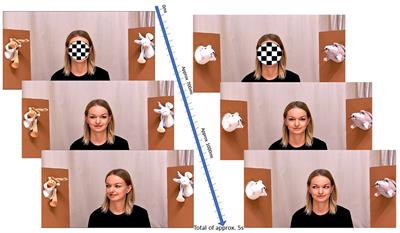 Remote, tablet-based assessment of gaze following: a nationwide infant twin study